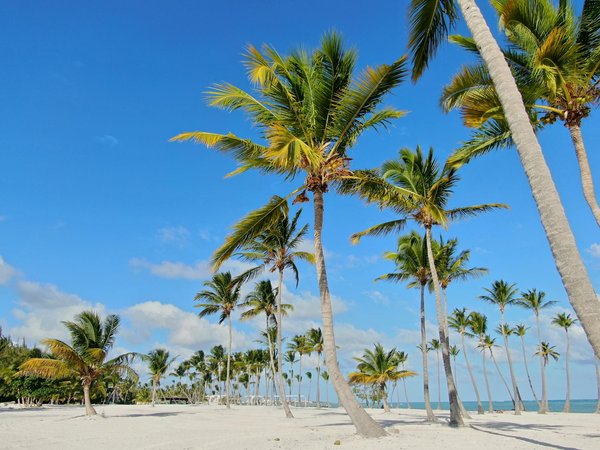 Surplombez les sommets : les hébergements perchés pour une escapade en hauteur